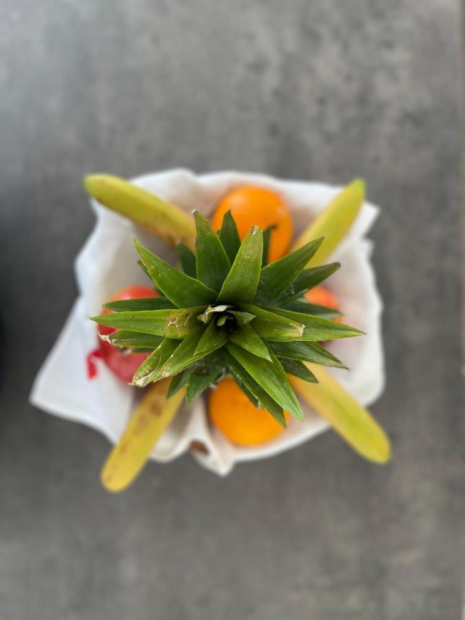 Au Perchoir Lägenhet Caunes-Minervois Exteriör bild