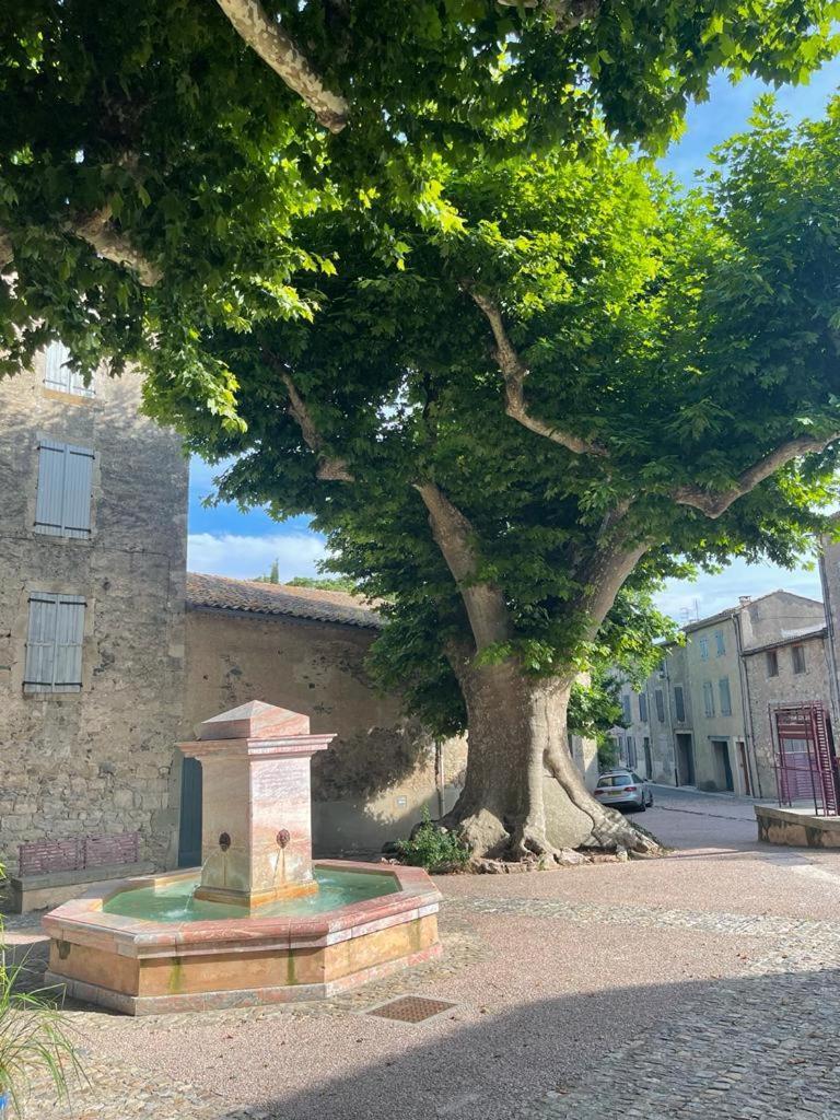 Au Perchoir Lägenhet Caunes-Minervois Exteriör bild